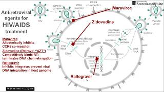 Antiretroviral agents for HIV  AIDS treatment [upl. by Dnaloy]