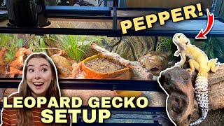 Setting Up A NEW Leopard Gecko Enclosure  Upgrade For Pepper [upl. by Ardyth]