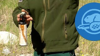 How to Use Bear Spray  Banff National Park [upl. by Mori]