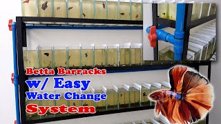 How to Build a Betta Rack with Easy Water Change System [upl. by Hammad575]