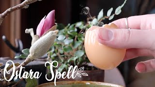 Ostara Spell  Sprouting Your Desires [upl. by Okoyik504]