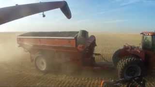 Huge farm in Alberta canada over 65 000 acres BampD WALTER FARMS Walters harvesting [upl. by Akimal]