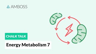 Energy Metabolism  Part 7 The Electron Transport Chain [upl. by Davine]