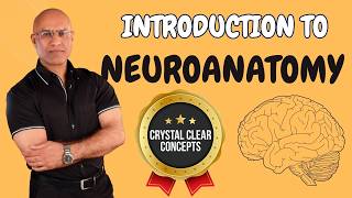 Intro to Neuroanatomy  Neurophysiology  Neuroscience  Central Nervous System [upl. by Solenne]