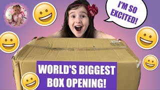 WORLD RECORD BIGGEST REBORN BOX OPENING EVER HOW MANY BABIES ARE THERE [upl. by Tenn]