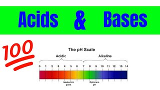 Properties of Acids and Bases  The Basics [upl. by Blanca]