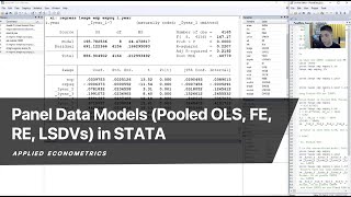 Panel Data Models Pooled OLS FE RE LSDVs in STATA [upl. by Chilson]