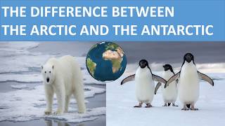 THE DIFFERENCE BETWEEN THE ARCTIC AND THE ANTARCTIC  SCIENCE VIDEO FOR KIDS [upl. by Onitrof]