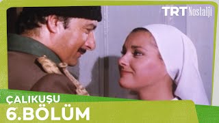 Çalıkuşu 6 Bölüm [upl. by Darleen462]