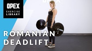 Romanian Deadlift  OPEX Exercise Library [upl. by Gil]