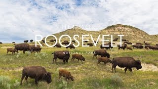 Theodore Roosevelt National Park  North Dakota [upl. by Dachi]