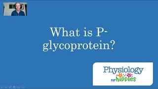 What is Pglycoprotein [upl. by Nisse]