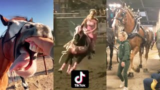 Horse Videos That Went Viral 1 [upl. by Gnaoh19]