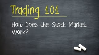 Trading 101 How Does the Stock Market Work [upl. by Oiralih]