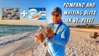 Surf Fishing For Pompano And Whiting In St Petersburg Florida [upl. by Schertz314]