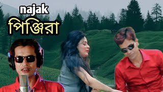 পিঞ্জিরা। Pinjira। BY Singer Nanak official AN Entertainment 2024 [upl. by Kersten]