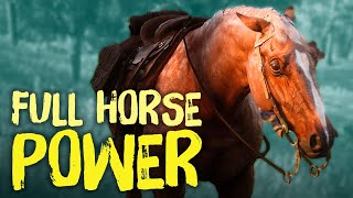 Red Dead Redemption 2 Horses  Everything You Need To Know [upl. by Pepe840]