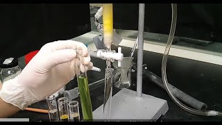 【4K】 Column Chromatography Purification🌟 [upl. by Allenad989]