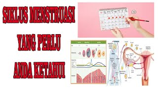 SIKLUS MENSTRUASI [upl. by Wells]