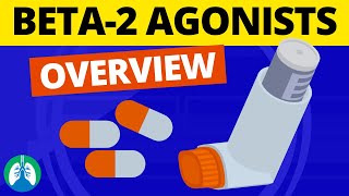 Beta2 Adrenergic Agonists Medications OVERVIEW  Bronchodilators [upl. by Goodill911]