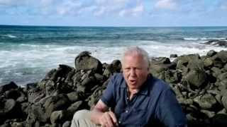 Galápagos with David Attenborough [upl. by Glass377]