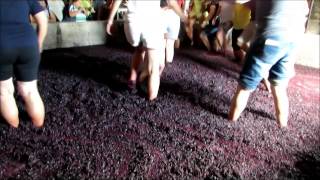 Lagarada  Pisar as uvas  Tread the grapes [upl. by Hollerman]