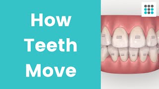 HOW TEETH MOVE WITH ALIGNERS amp BRACES l Dr Melissa Bailey Orthodontist [upl. by Namrak]