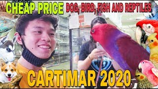 CARTIMAR PET SHOP PRICE LIST UPDATE 2020  DOGS FISHES BIRDS AND REPTILES [upl. by Notffilc]