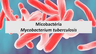 Microbiologia Médica Mycobacterium tuberculosis [upl. by Sussi452]