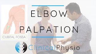 Elbow Palpation  Clinical Physio Premium [upl. by Fleur]