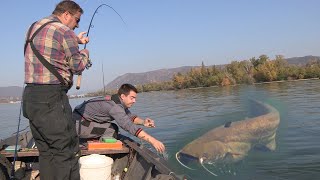 Pecanje soma i smuđa na Dunavu  Đerdap kod Kladova  Varaličarenje  Fishing catfish and zander [upl. by Rehpotsirhk955]