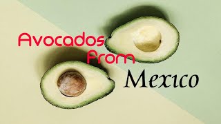 Avocados from Mexico meme [upl. by Myk]