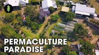 Hugely Abundant 1Acre Permaculture Homestead Tour – Limestone Permaculture Farm Revisit [upl. by Lomaj750]