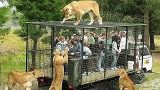 10 MOST STUNNING ZOOS IN THE WORLD [upl. by Ary]