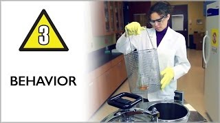 Behavior  Lab Safety Video Part 3 [upl. by Lola]