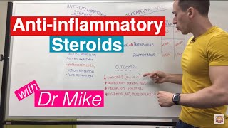 Antiinflammatory Steroids [upl. by Lohcin]