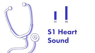 S1 Heart Sound  Learn How to Auscultate Part 8 [upl. by Secnirp]