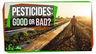 How Safe Are Pesticides Really [upl. by Alokin]