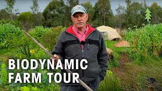 Purple Pear Biodynamic Permaculture Farm Tour [upl. by Fritze]