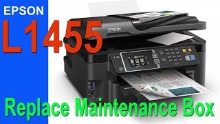 Epson L1455 Replace Maintenance Box Easy [upl. by Ranite]