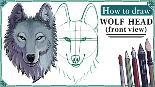 How to draw WOLF HEADS front view  Step by Step Art Tutorial [upl. by Valdas]