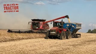 Case IH 9240 AxialFlow Combines Harvesting Soybeans [upl. by Diann]