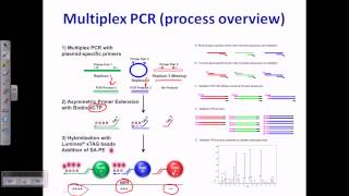 PCR types [upl. by Anilys]