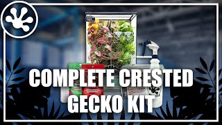 Pangea Complete Crested Gecko Kit [upl. by Quintilla]