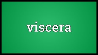 Viscera Meaning [upl. by Notrem]