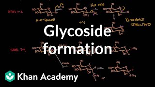 Carbohydrate  Glycoside formation hydrolysis  Chemical processes  MCAT  Khan Academy [upl. by Justine]