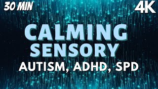 ADHD Autism SPD Calming Sensory Music for Anxiety Relief [upl. by Taran20]