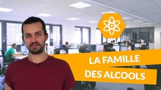 La famille des alcools  Physiquechimie  TS  digiSchool [upl. by Norward]