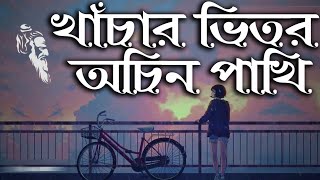 Khachar Vitor Ochin Pakhi lyrics by Konok Chapa of Lalon Shah [upl. by Latsyek808]