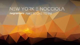 negramaro  New York e nocciola Audio ufficiale [upl. by Sarilda]